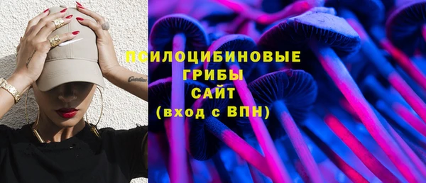 ПСИЛОЦИБИНОВЫЕ ГРИБЫ Вязники